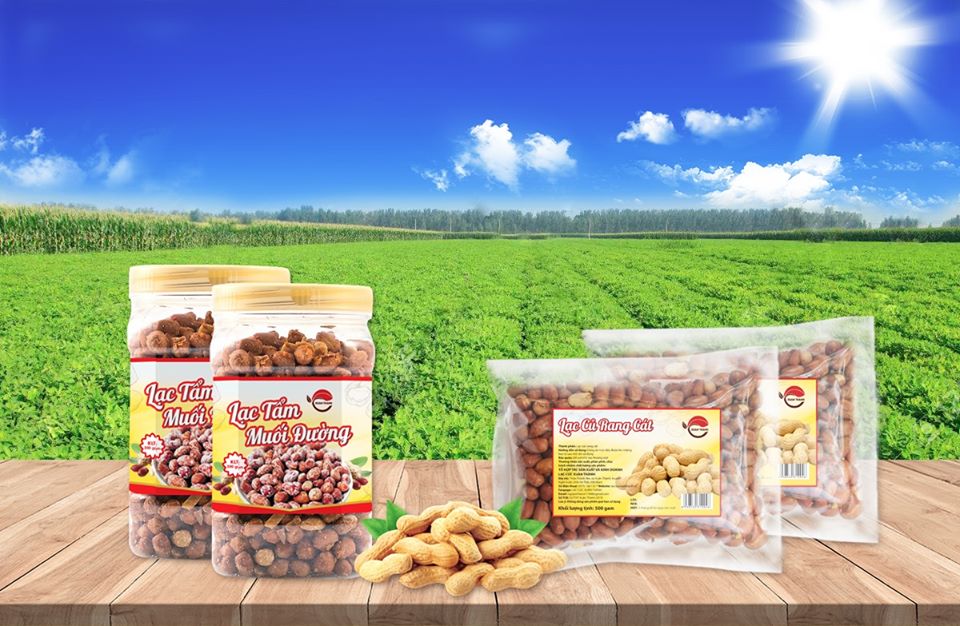 Lạc cúc Xuân Thành rang cát