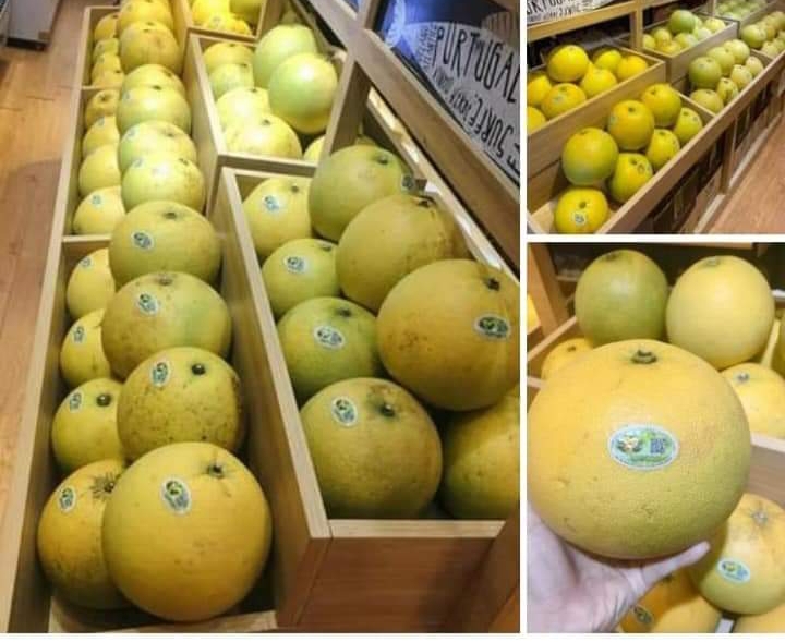 Bưởi Phúc Trạch