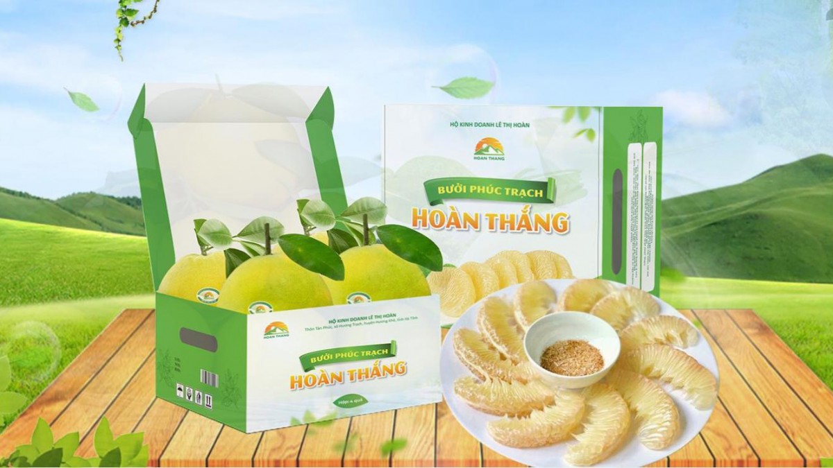 Bưởi Phúc Trạch Hoàn Thắng