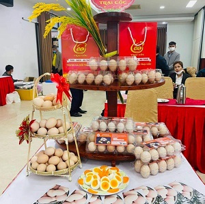 Trứng gà đồi Trại Cốc 12 trứng