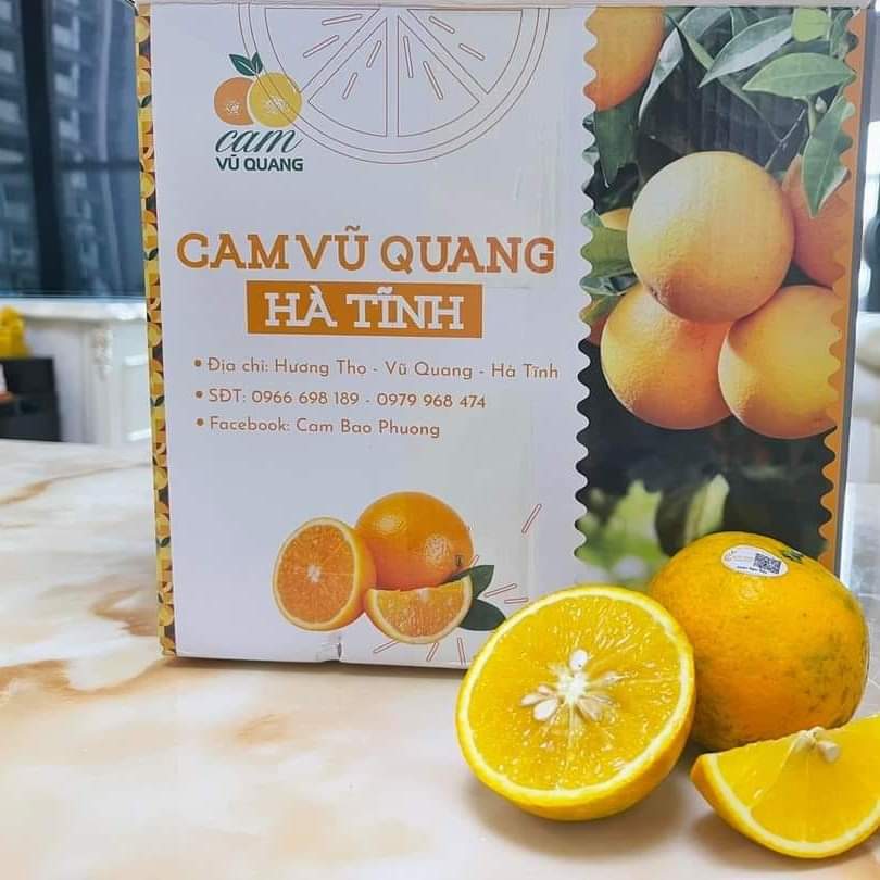 Cam bảo phương 01