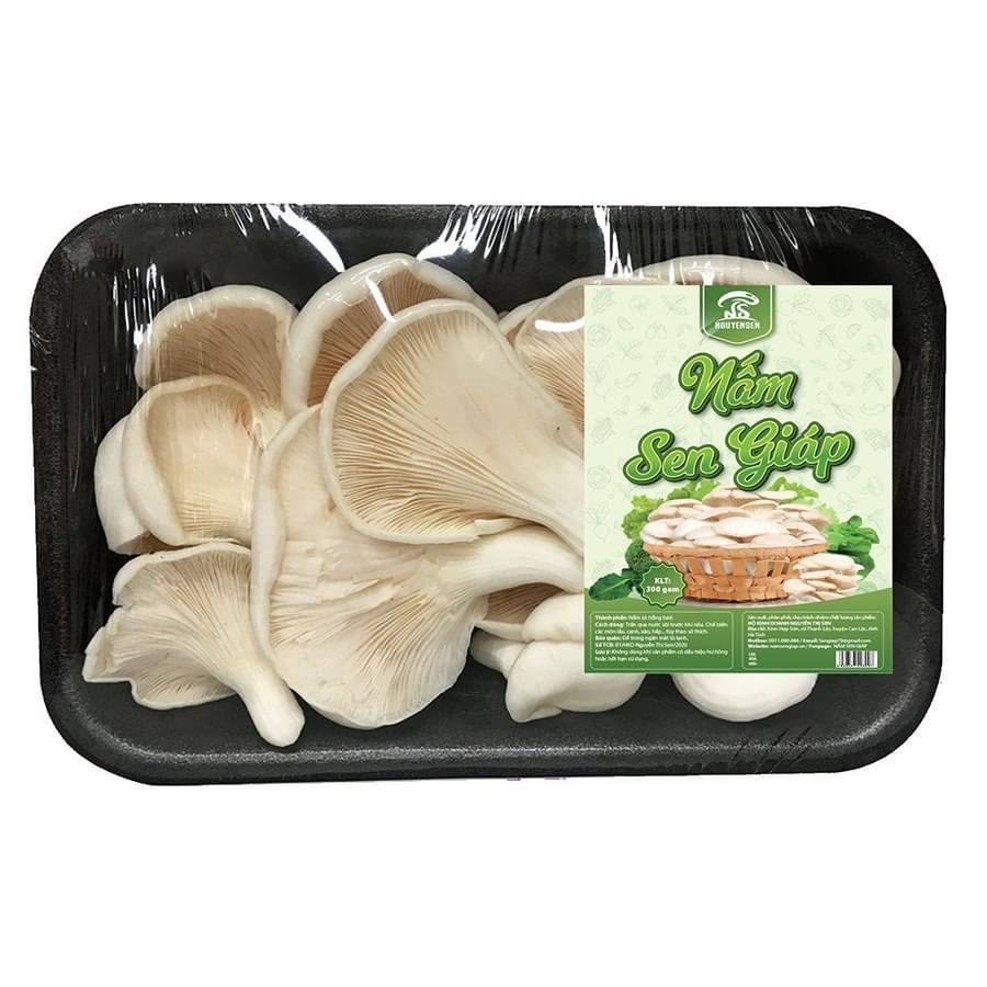 NẤM RƠM SEN GIÁP