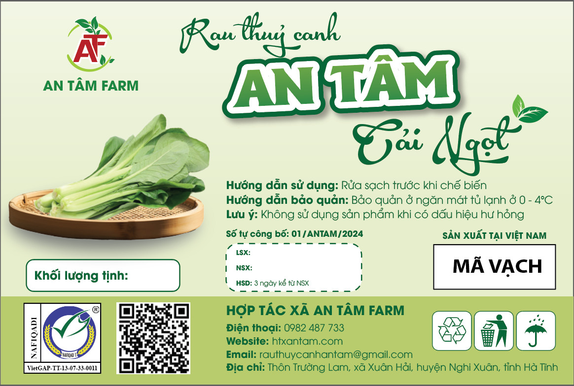 Rau cải ngọt An Tâm Farm