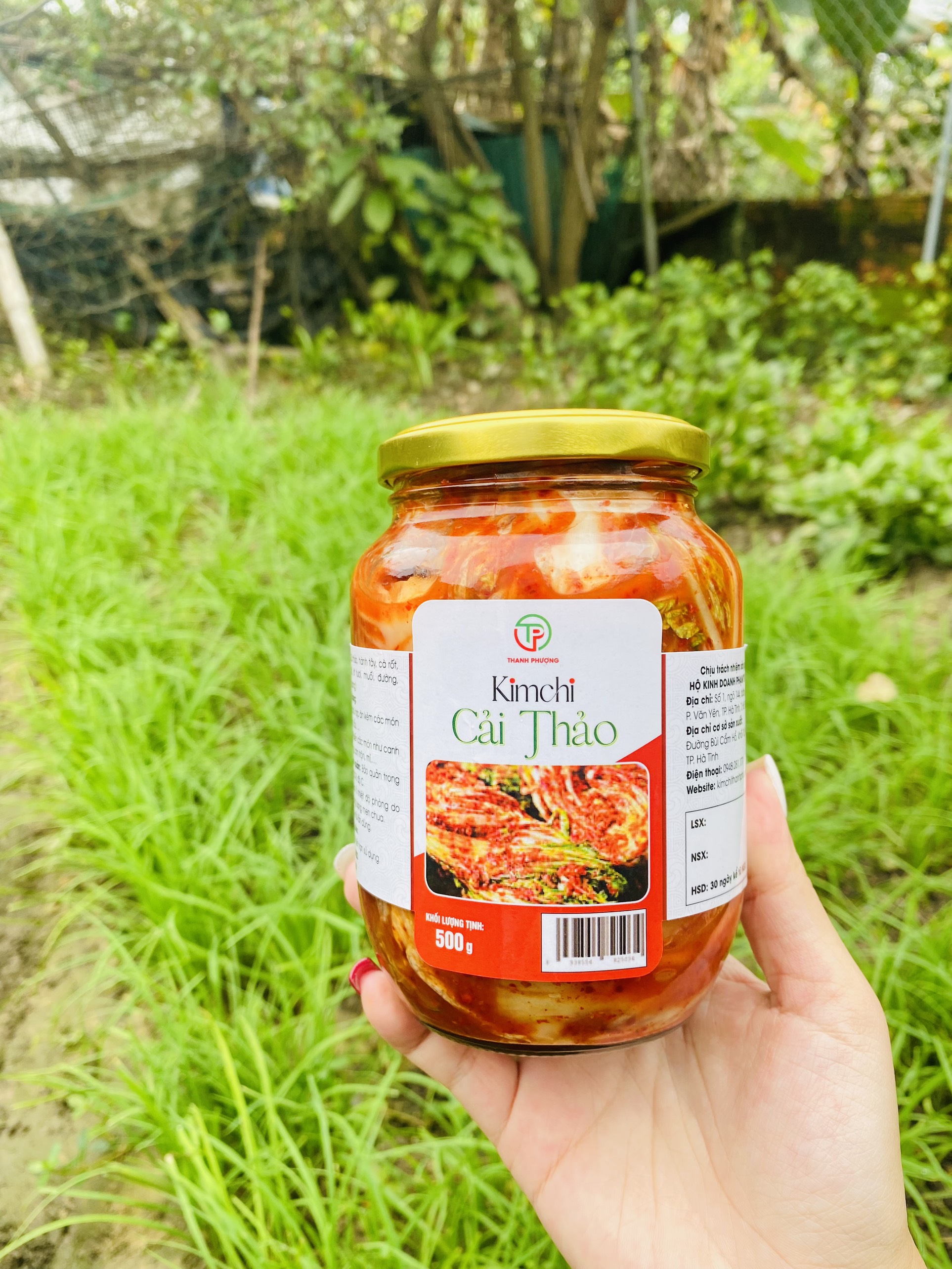 KIM CHI CẢI THẢO THANH PHƯỢNG